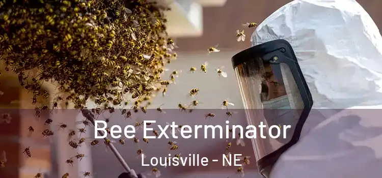 Bee Exterminator Louisville - NE