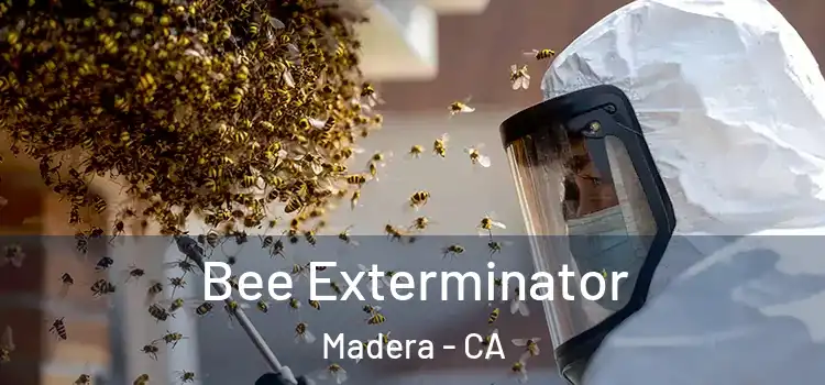 Bee Exterminator Madera - CA