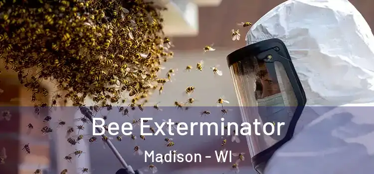 Bee Exterminator Madison - WI