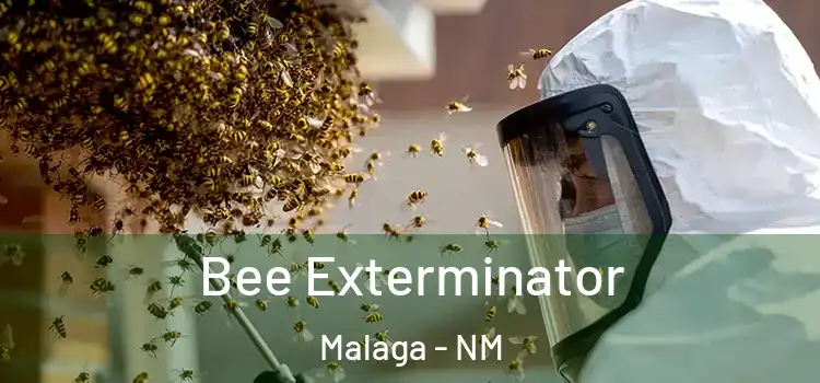  Bee Exterminator Malaga - NM