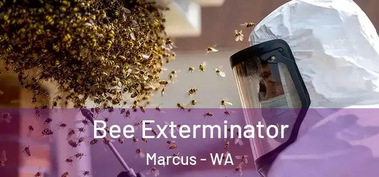 Bee Exterminator Marcus - WA