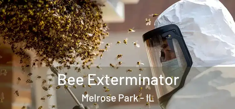 Bee Exterminator Melrose Park - IL