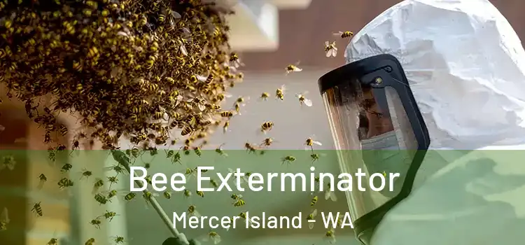  Bee Exterminator Mercer Island - WA