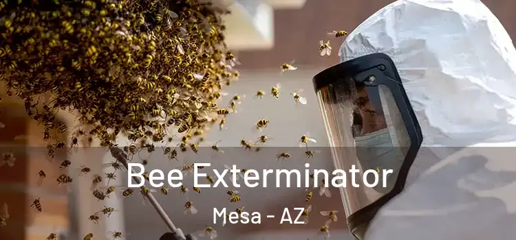 Bee Exterminator Mesa - AZ