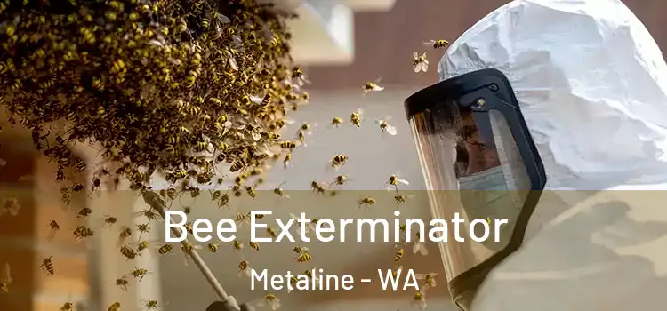  Bee Exterminator Metaline - WA