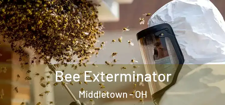 Bee Exterminator Middletown - OH