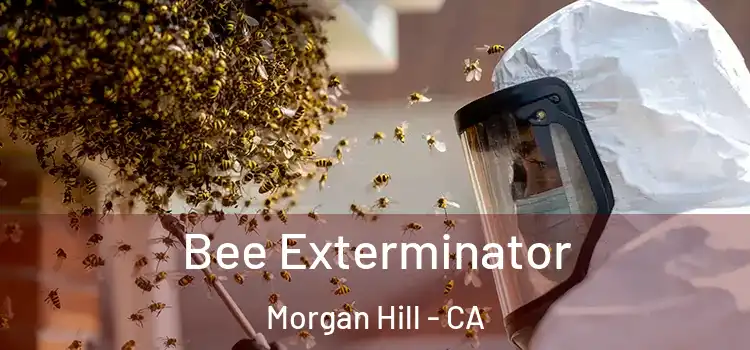 Bee Exterminator Morgan Hill - CA