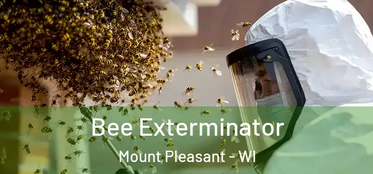  Bee Exterminator Mount Pleasant - WI