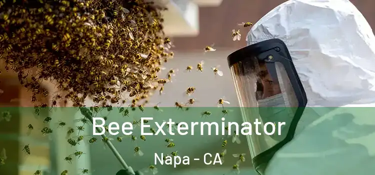 Bee Exterminator Napa - CA