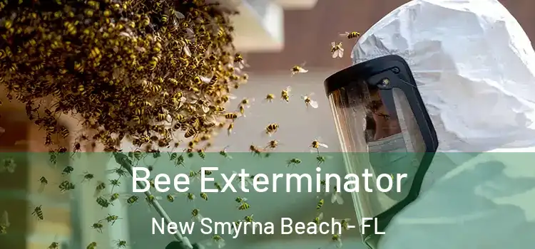 Bee Exterminator New Smyrna Beach - FL