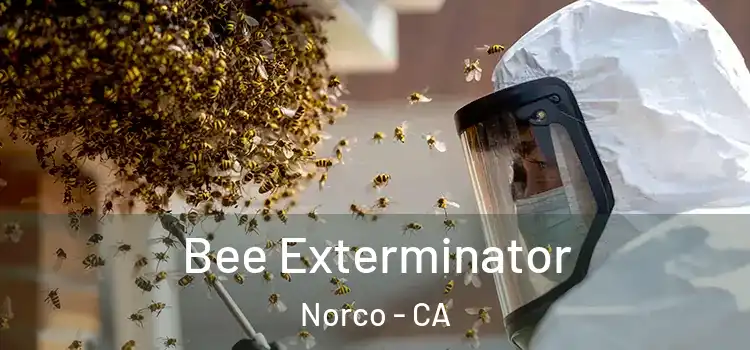 Bee Exterminator Norco - CA