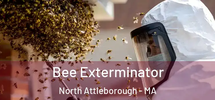  Bee Exterminator North Attleborough - MA