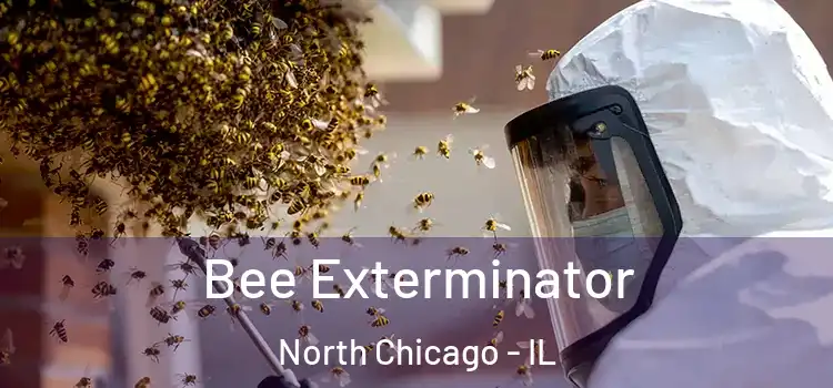 Bee Exterminator North Chicago - IL
