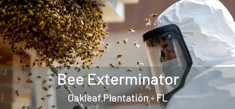  Bee Exterminator Oakleaf Plantation - FL