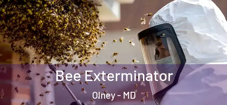  Bee Exterminator Olney - MD