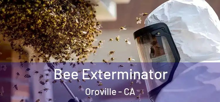 Bee Exterminator Oroville - CA