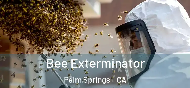Bee Exterminator Palm Springs - CA