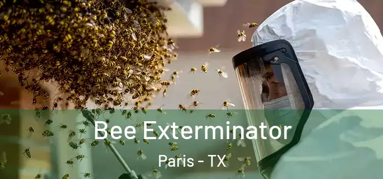  Bee Exterminator Paris - TX