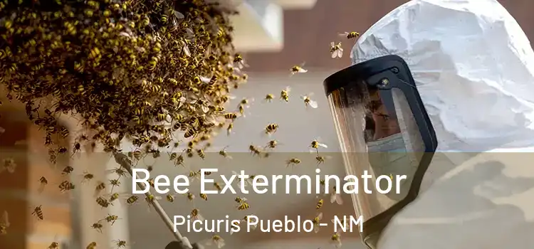  Bee Exterminator Picuris Pueblo - NM