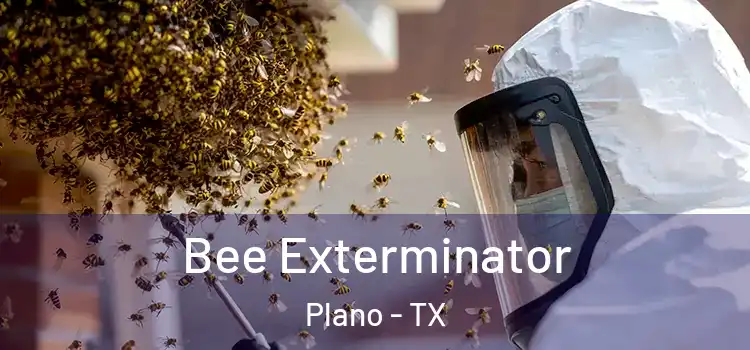  Bee Exterminator Plano - TX