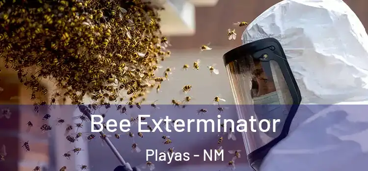 Bee Exterminator Playas - NM