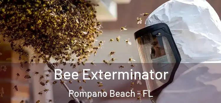 Bee Exterminator Pompano Beach - FL