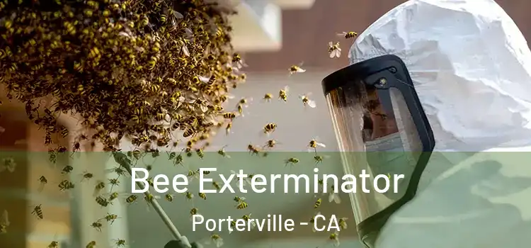 Bee Exterminator Porterville - CA