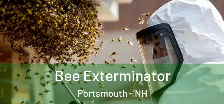 Bee Exterminator Portsmouth - NH