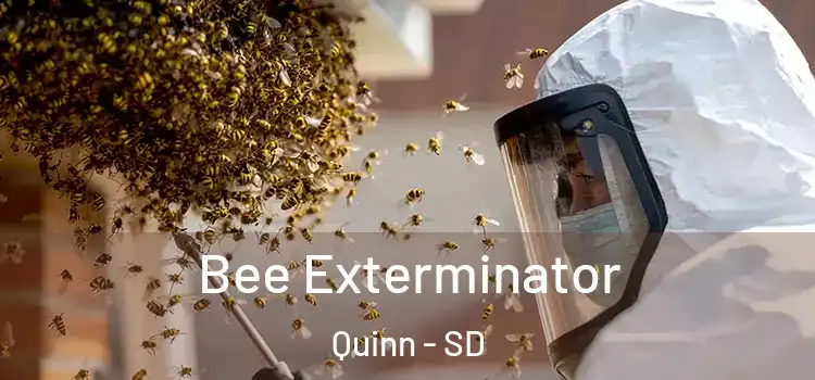  Bee Exterminator Quinn - SD
