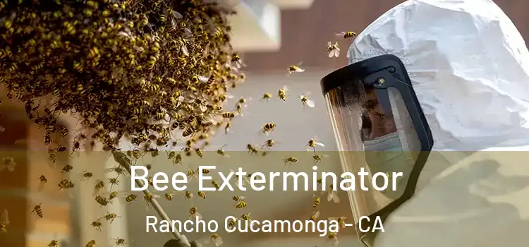 Bee Exterminator Rancho Cucamonga - CA