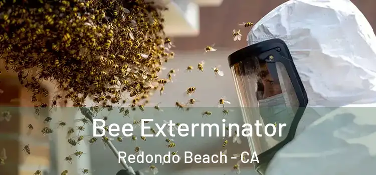Bee Exterminator Redondo Beach - CA