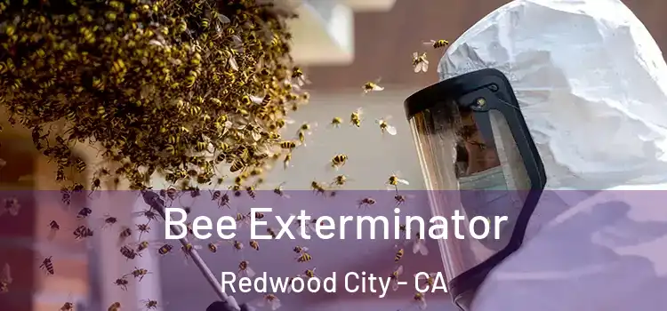 Bee Exterminator Redwood City - CA
