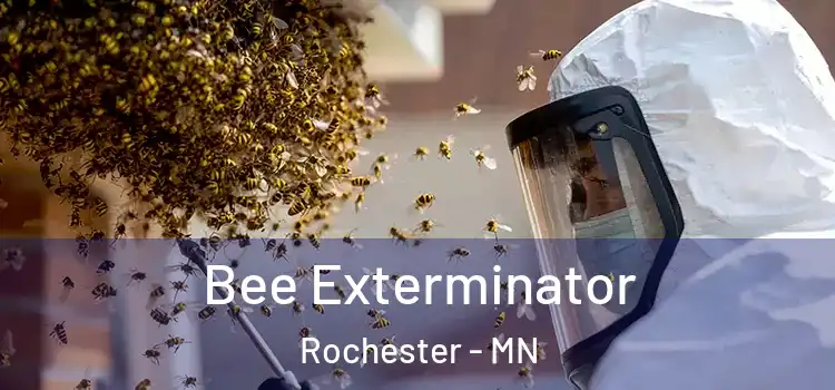 Bee Exterminator Rochester - MN