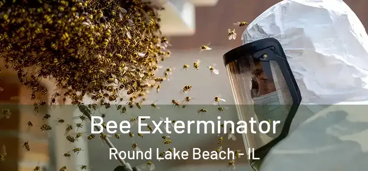 Bee Exterminator Round Lake Beach - IL