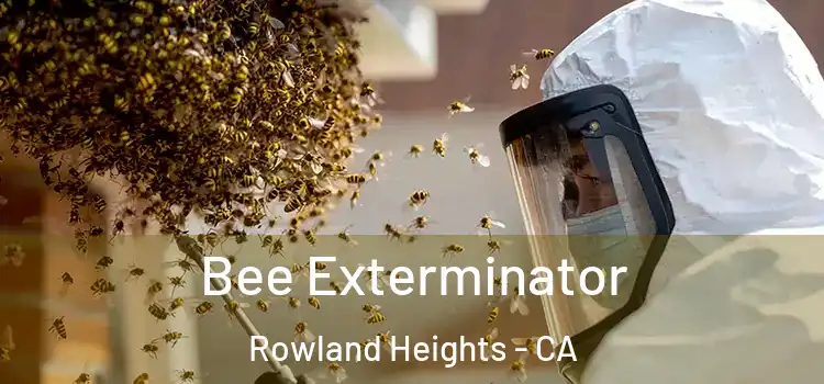 Bee Exterminator Rowland Heights - CA