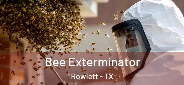  Bee Exterminator Rowlett - TX
