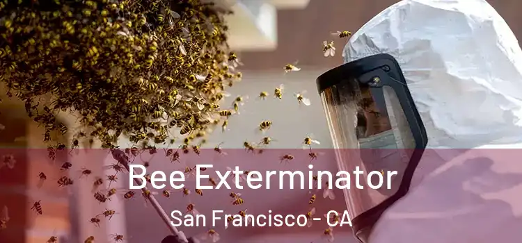  Bee Exterminator San Francisco - CA