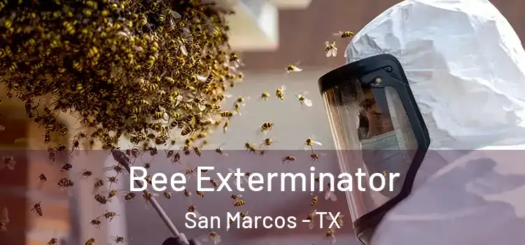  Bee Exterminator San Marcos - TX