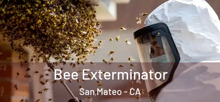  Bee Exterminator San Mateo - CA