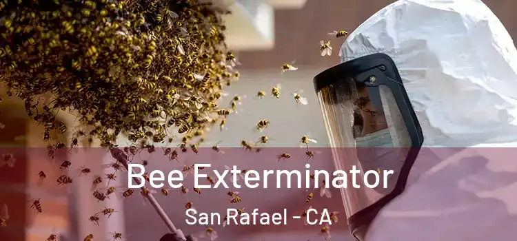 Bee Exterminator San Rafael - CA