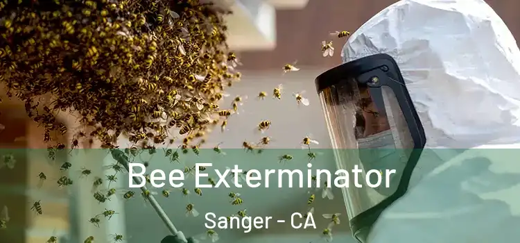 Bee Exterminator Sanger - CA