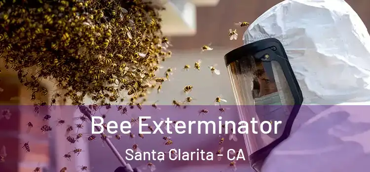 Bee Exterminator Santa Clarita - CA
