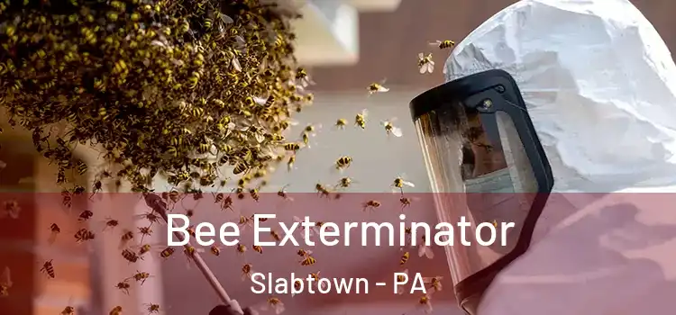  Bee Exterminator Slabtown - PA
