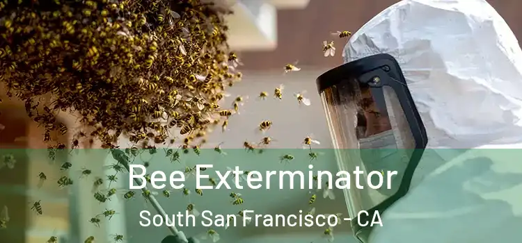 Bee Exterminator South San Francisco - CA