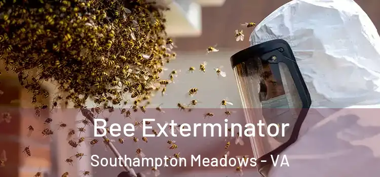  Bee Exterminator Southampton Meadows - VA