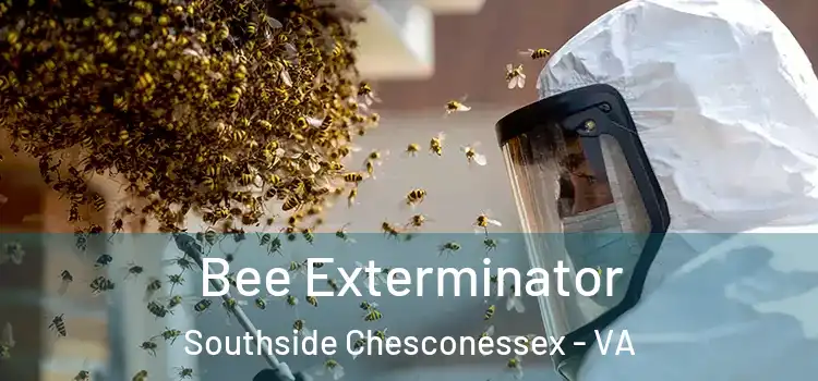  Bee Exterminator Southside Chesconessex - VA