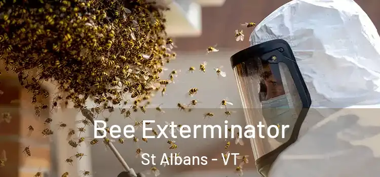  Bee Exterminator St Albans - VT
