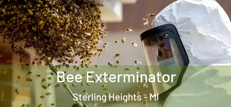 Bee Exterminator Sterling Heights - MI