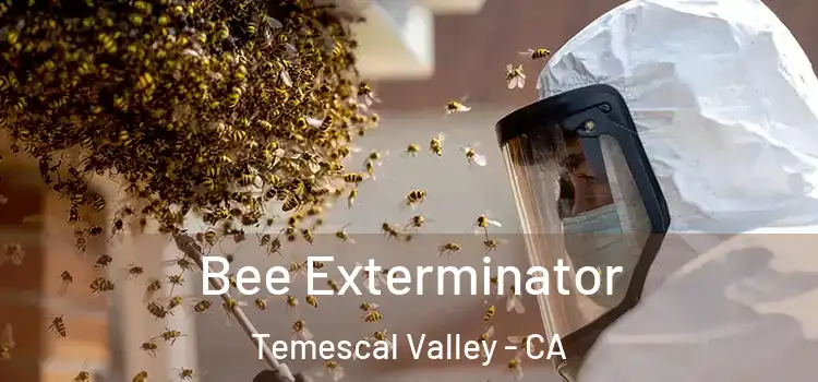 Bee Exterminator Temescal Valley - CA