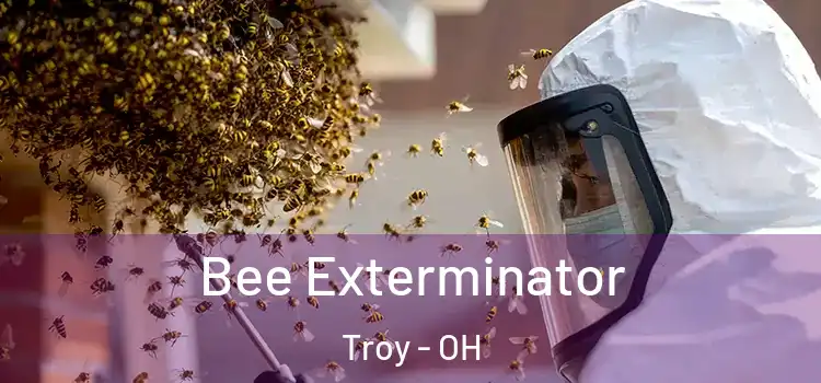 Bee Exterminator Troy - OH